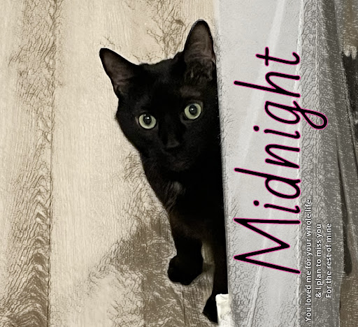 Photo from customer review